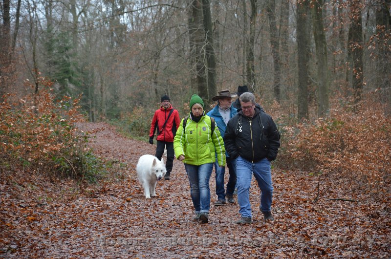 Wandertag 2019 - 040